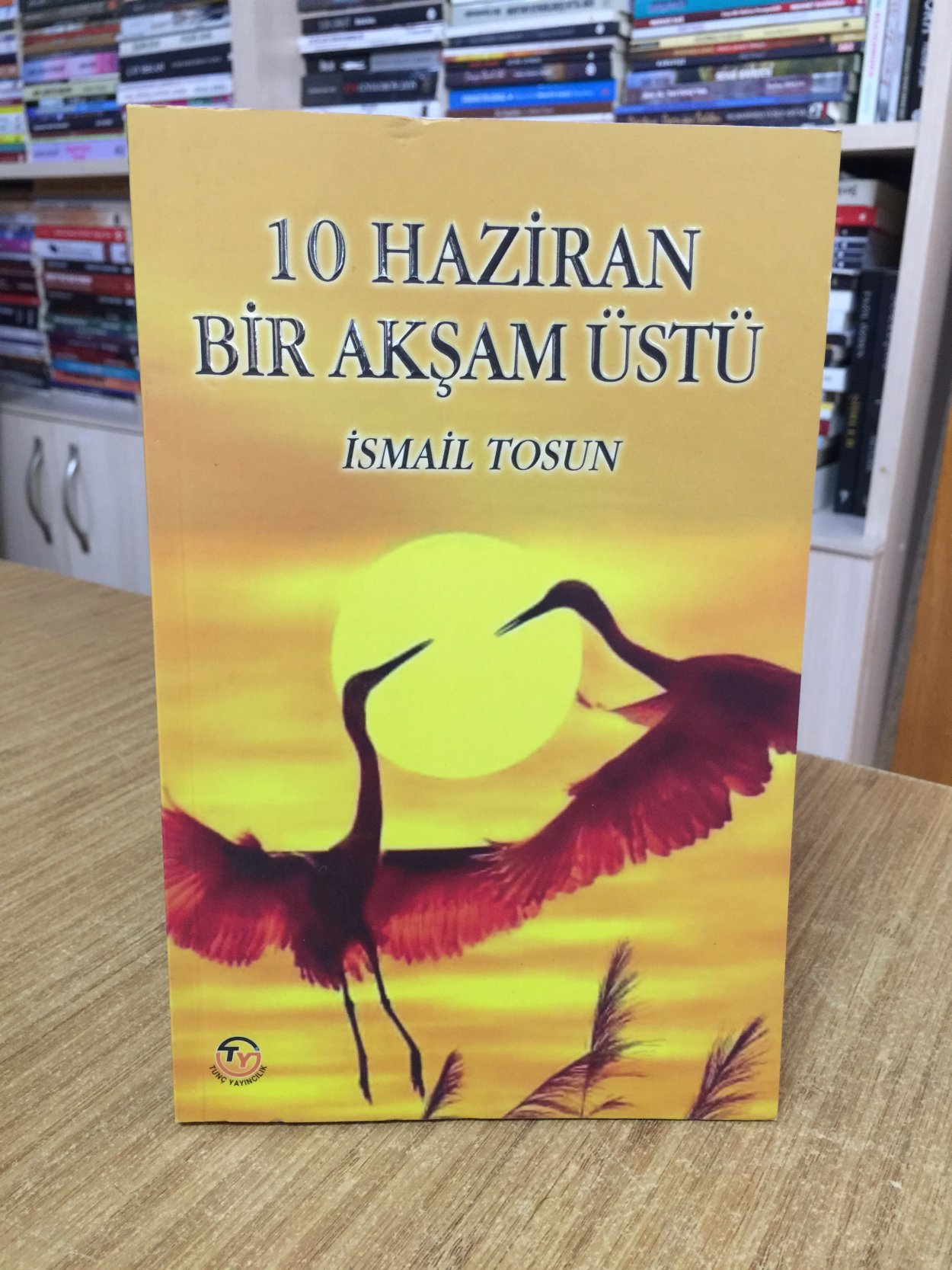 10 Haziran Bir Akşam Üstü - İsmail Tosun