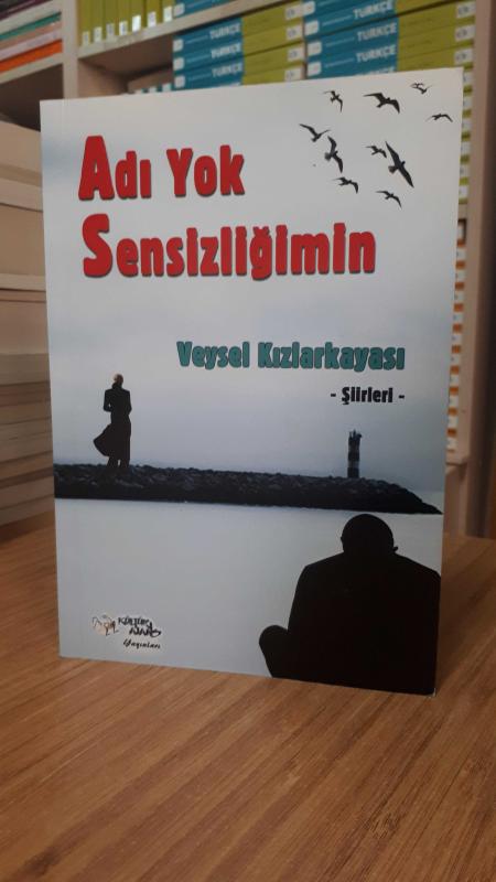 Adı Yok Sensizliğimin - Veysel Kızlarkayası