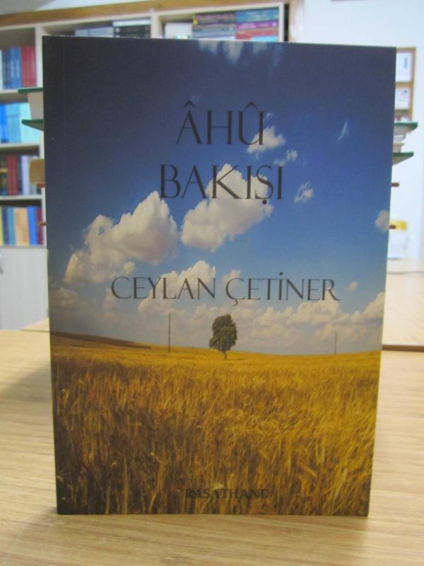 Ahu Bakışı - Ceylan Çetiner
