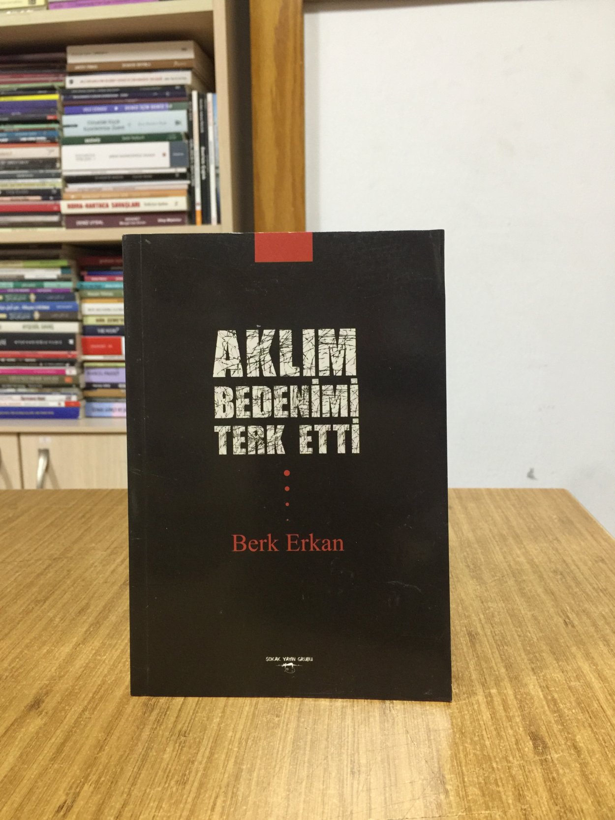 Aklım Bedenimi Terk Etti - Berk Erkan