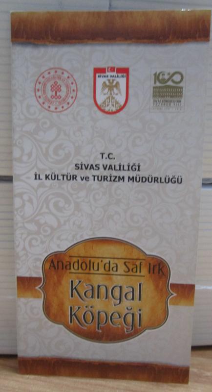 Anadolu'da Saf Irk Kangal Köpeği