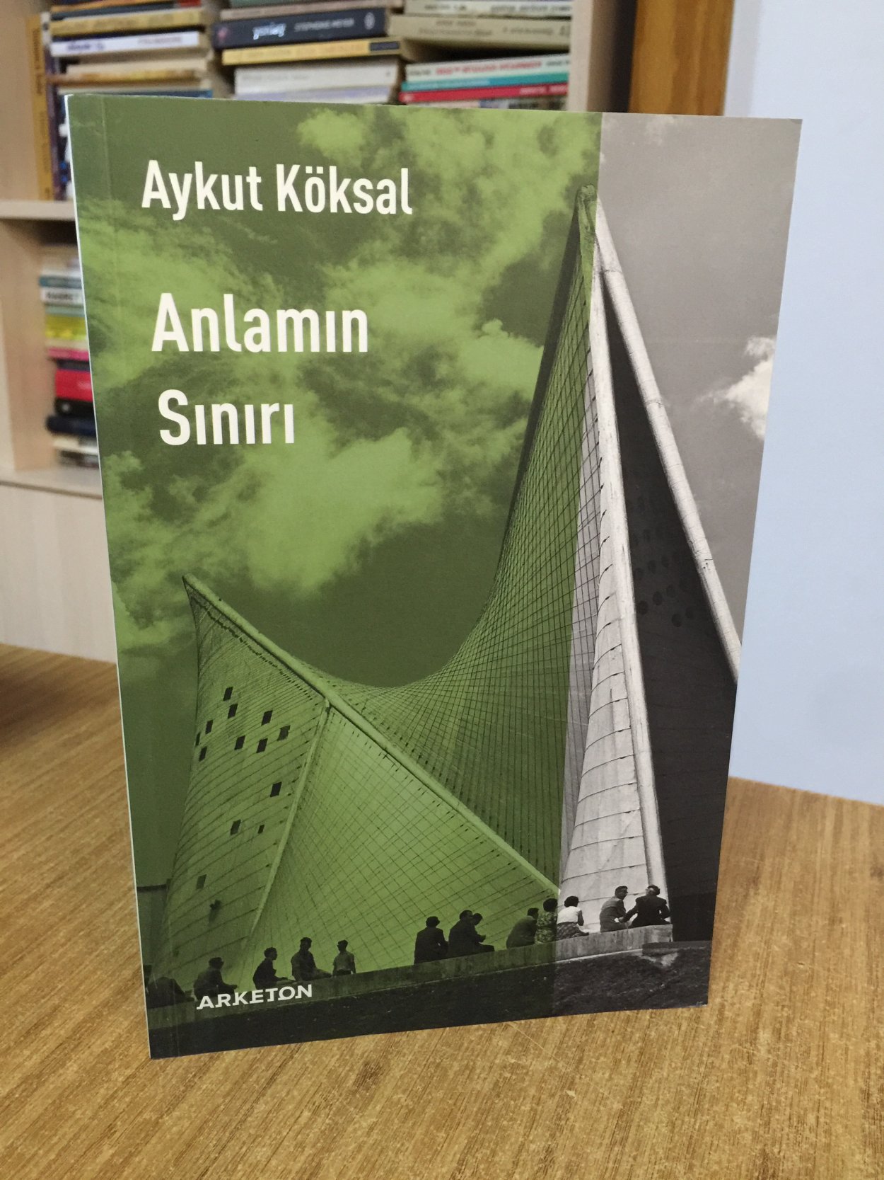 Anlamın Sınırı - Aykut Köksal