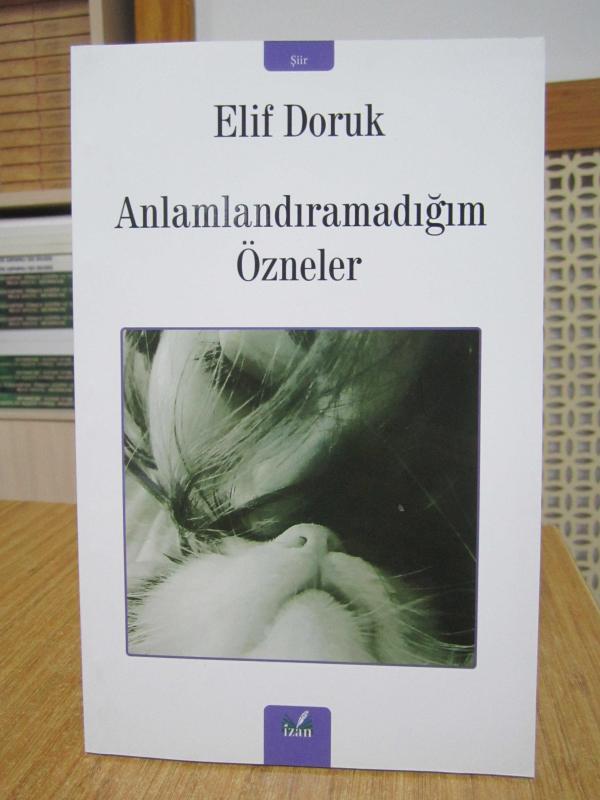 Anlamlandıramadığım Özneler - Elif Doruk