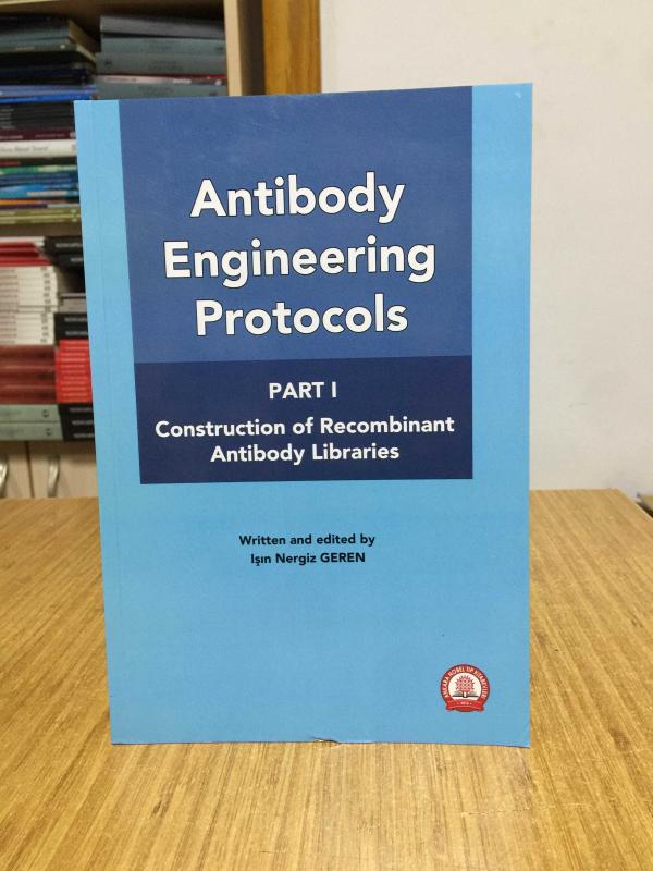 Antibody Engineering Protocols Part 1 : Construction of Recombinant Antibody Libraries