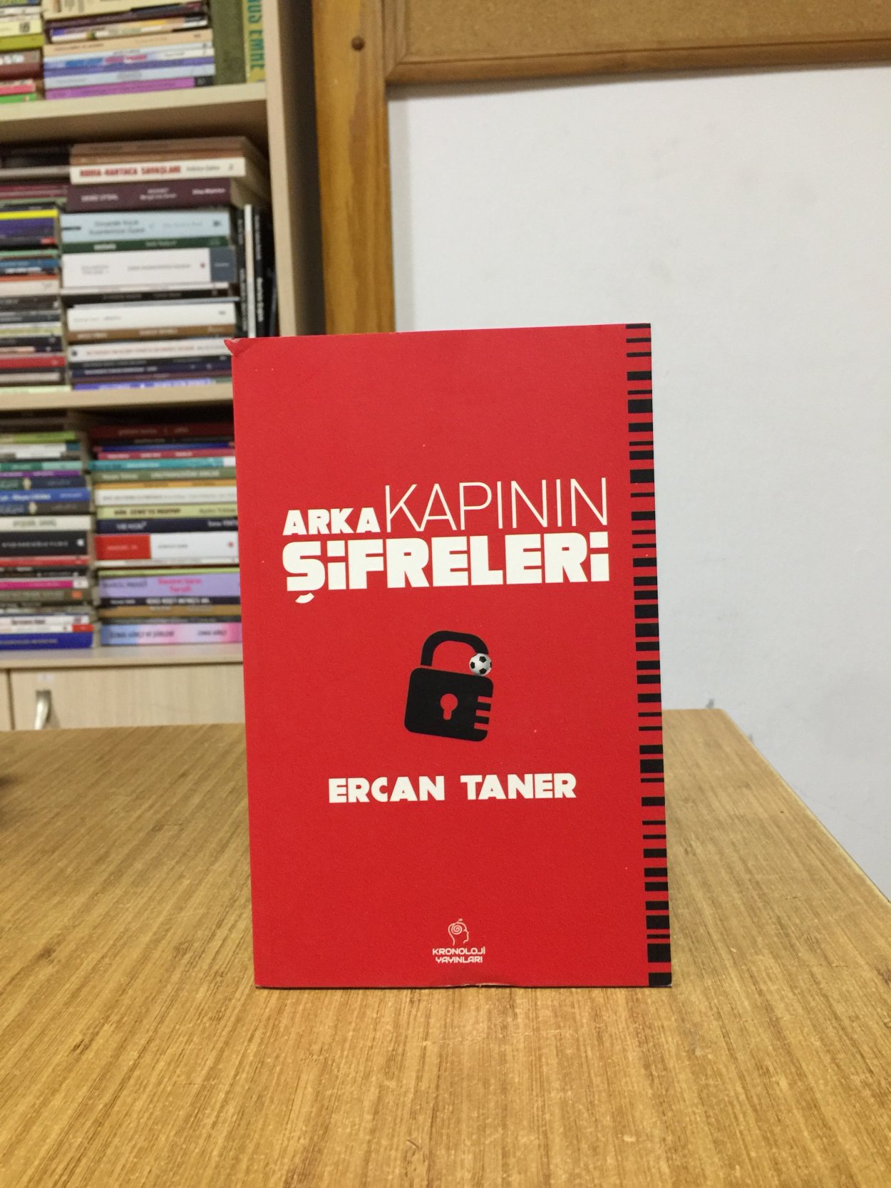 Arka Kapının Şifreleri - Ercan Taner