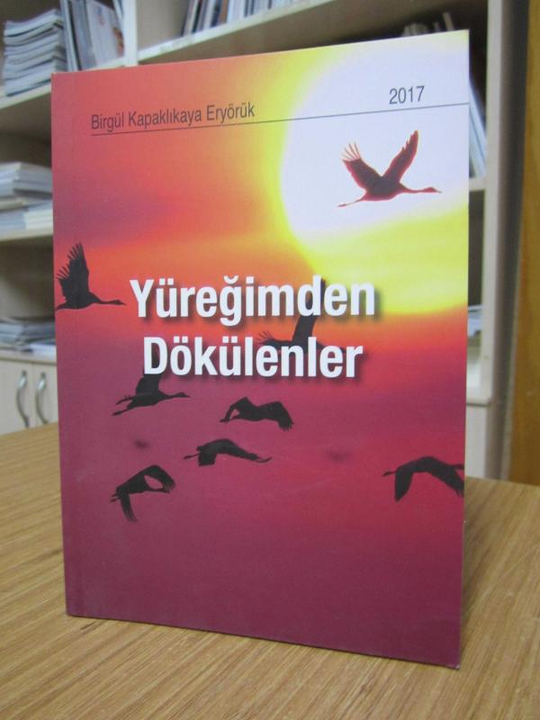 Arzuhalım - Erol Köçer