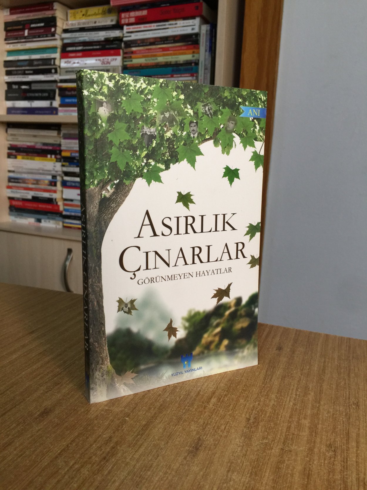 Asırlık Çınarlar Görünmeyen Hayatlar - Yüzyıl Yayınları