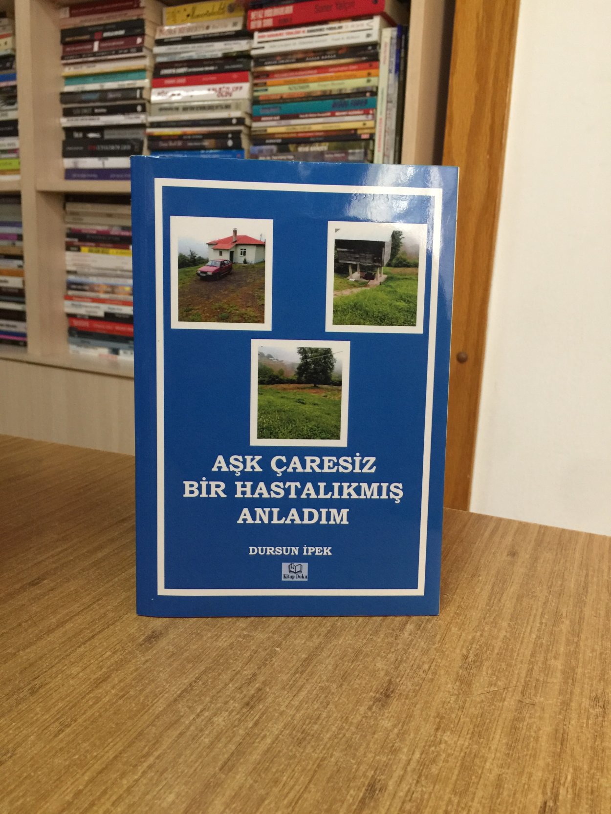 Aşk Çaresiz Bir Hastalıkmış Anladım - Dursun İpek