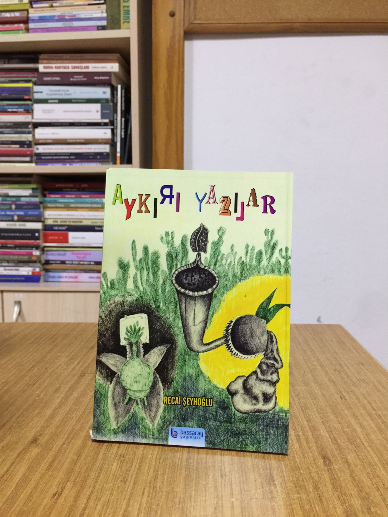 Aykırı Yazılar - Recai Şeyhoğlu