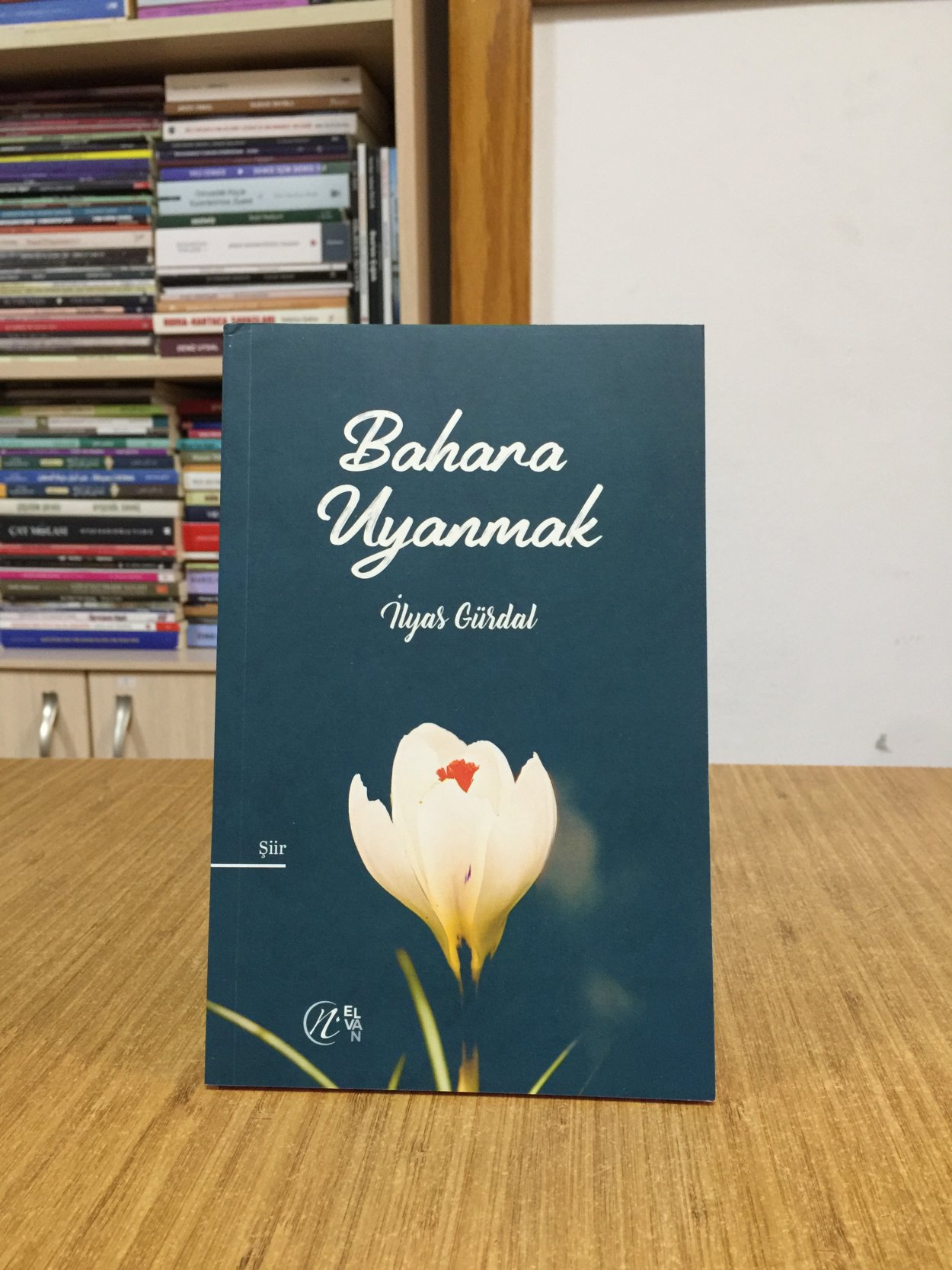 Bahara Uyanmak - İlyas Gürdal