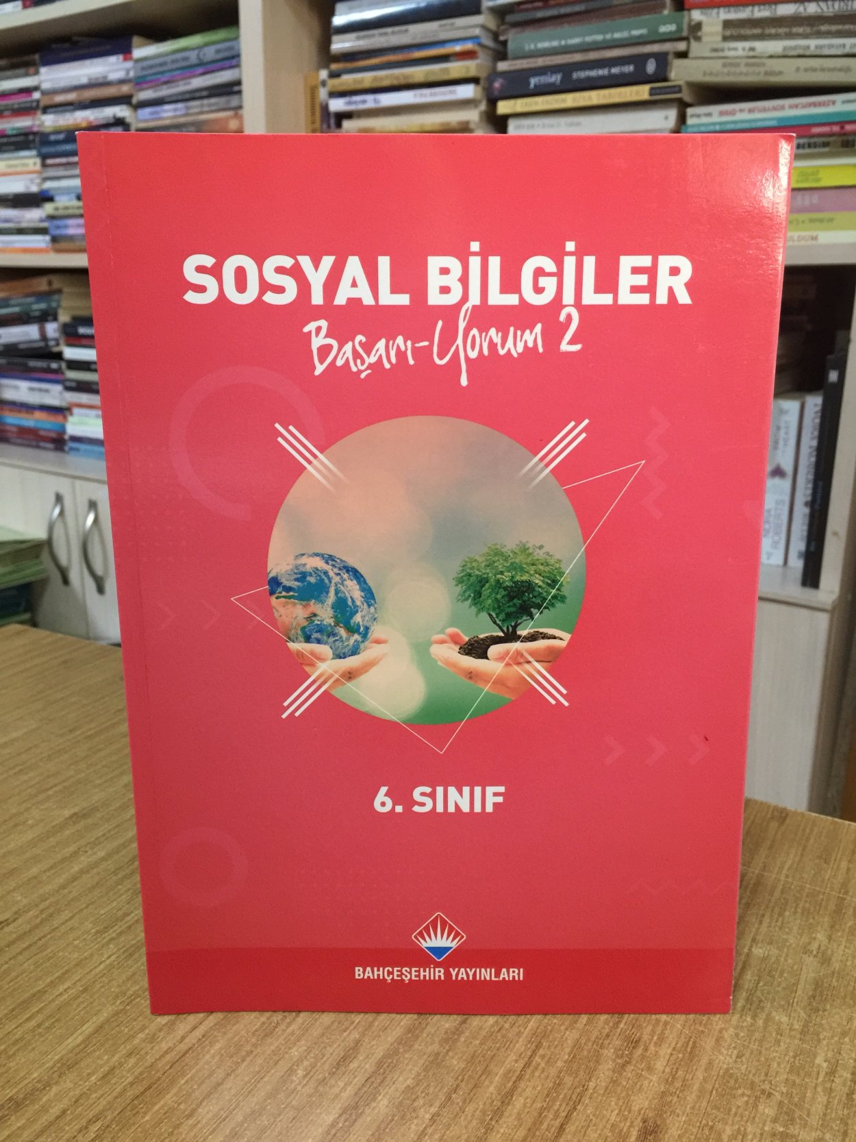 Bahçeşehir Koleji 6. Sınıf SOSYAL BİLGİLER Başarı-Yorum 2 (2020-2021)