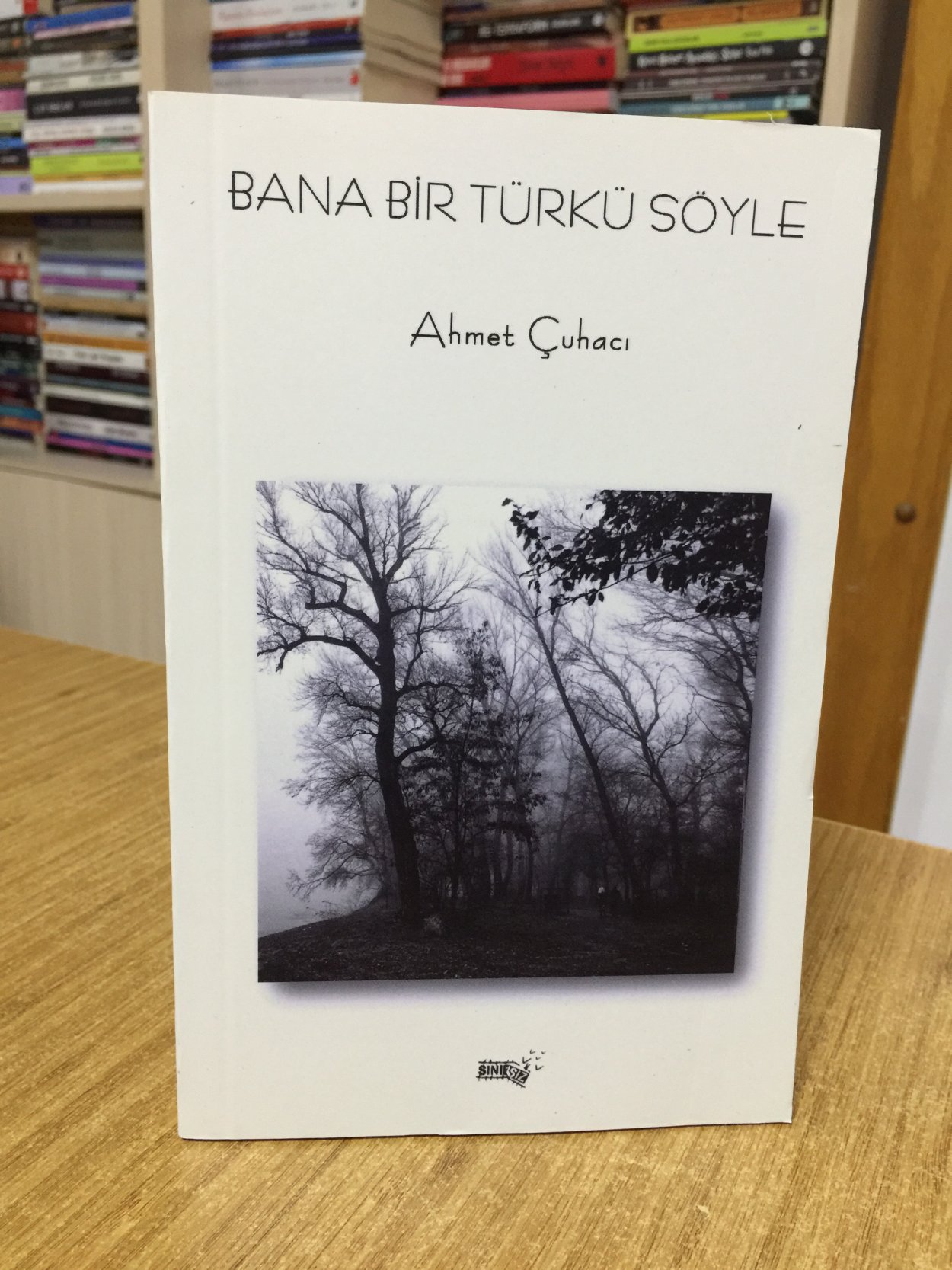 Bana Bir Türkü Söyle - Ahmet Çuhacı