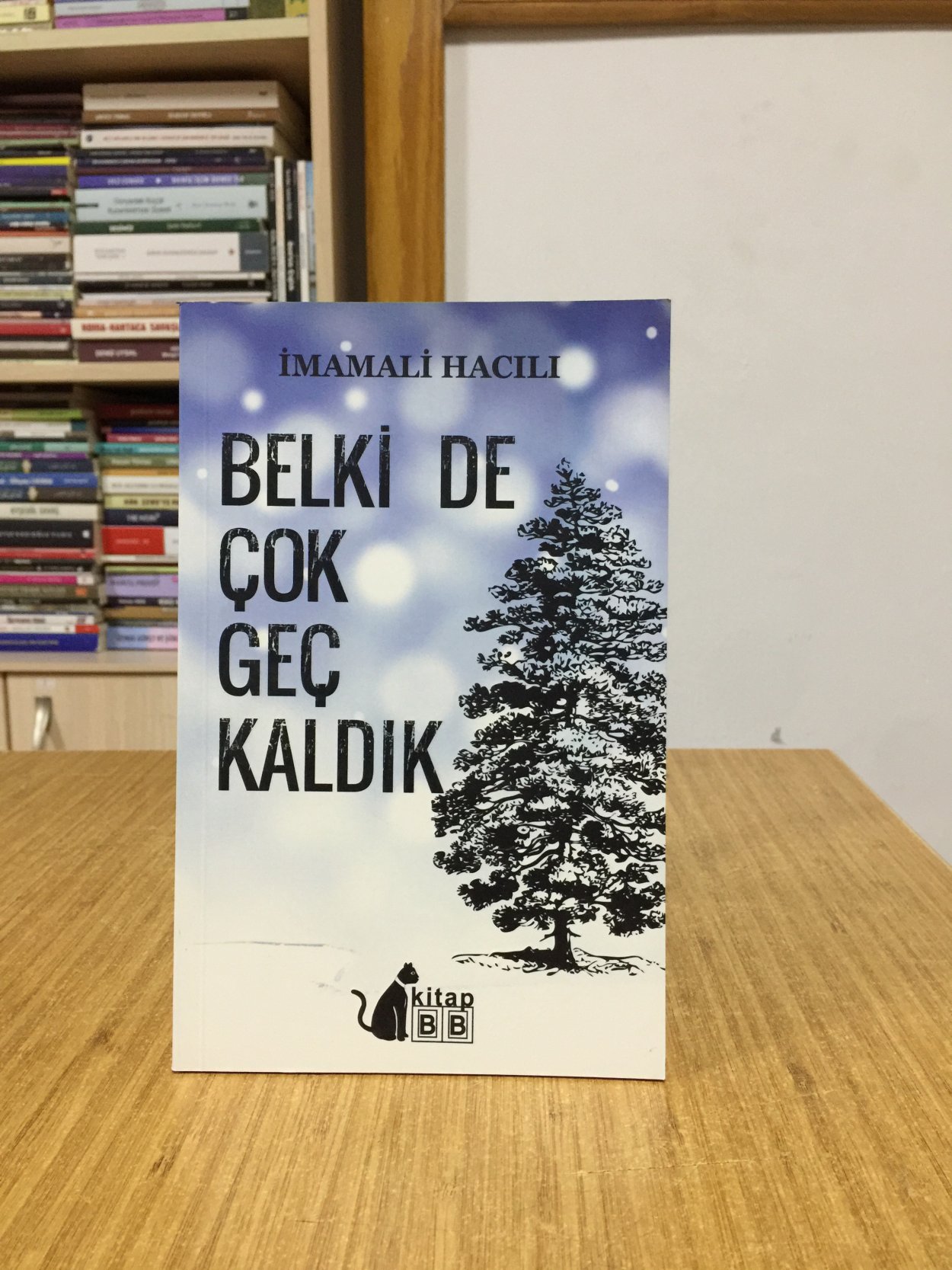 Belki De Çok Geç Kaldık - İmamali Hacılı