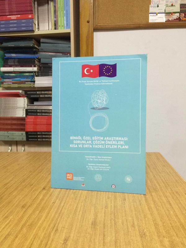 Bingöl Özel Eğitim Araştırması Sorunlar Çözüm Önerileri Kısa ve Orta Vadeli Eylem Planı