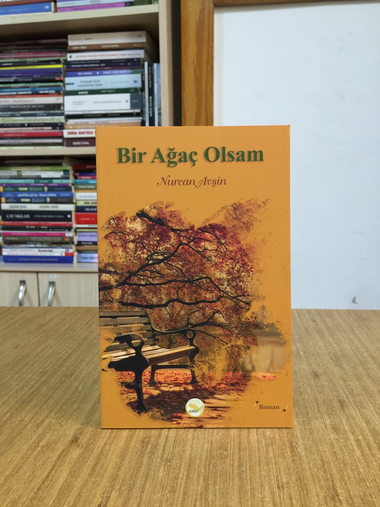 Bir Ağaç Olsam - Nurcan Avşin