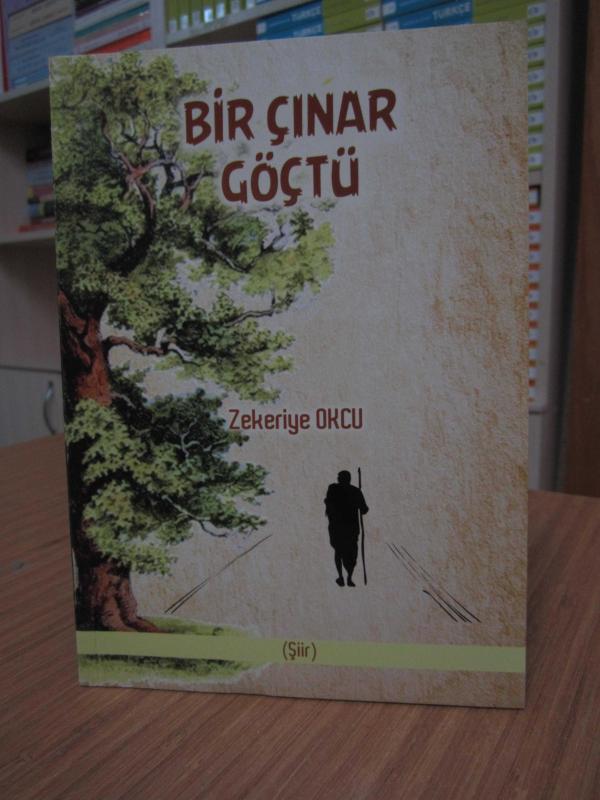 Bir Çınar Göçtü