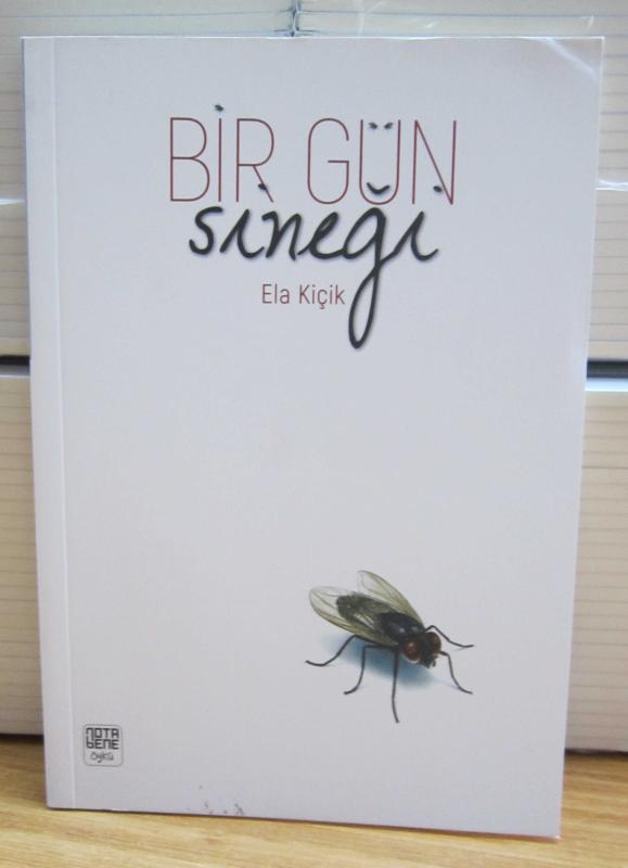 Bir Gün Sineği