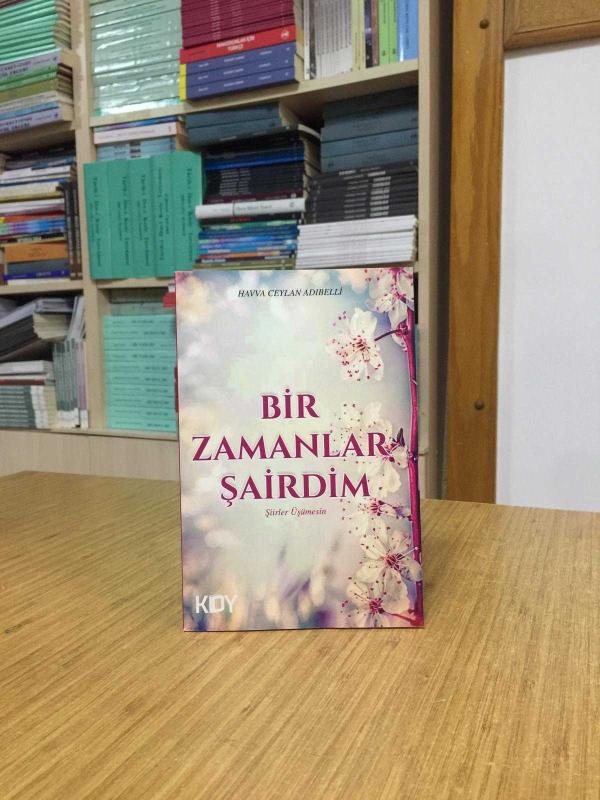 Bir Zamanlar Şairdim - Havva Ceylan Adıbelli