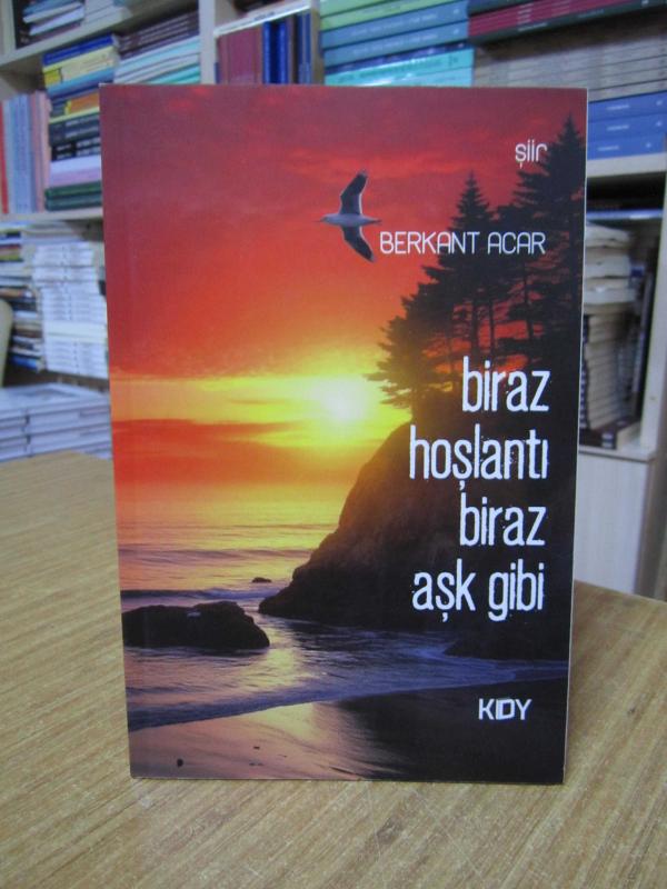Biraz Hoşlantı Biraz Aşk Gibi - Berkant Acar