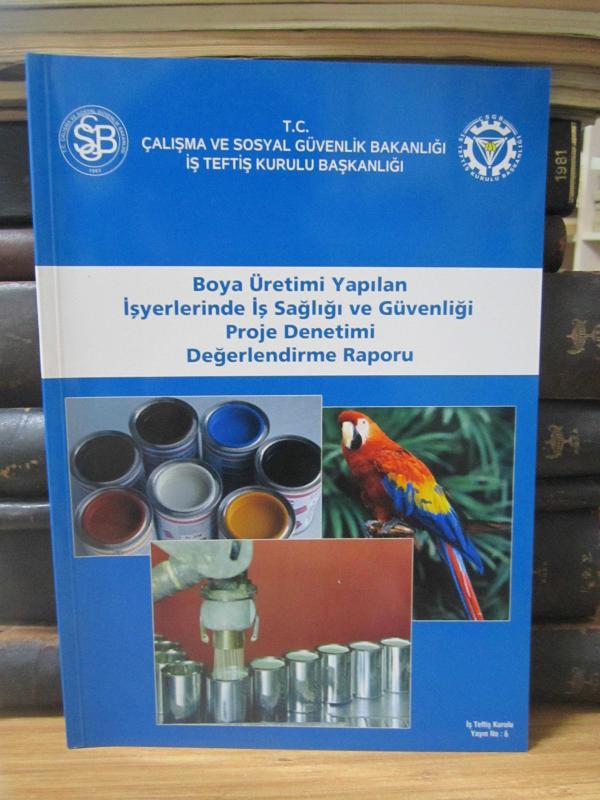 Boya Üretimi Yapılan  İşyerlerinde İş Sağlığı ve Güvenliği Proje Denetimi Değerlendirme Raporu