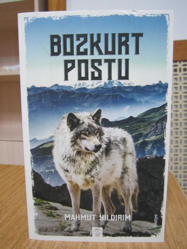 Bozkurt Postu - Mahmut Yıldırım