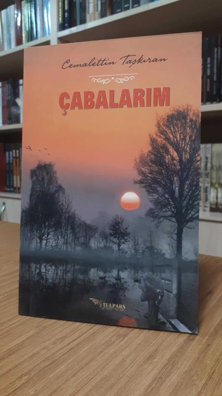 Çabalarım