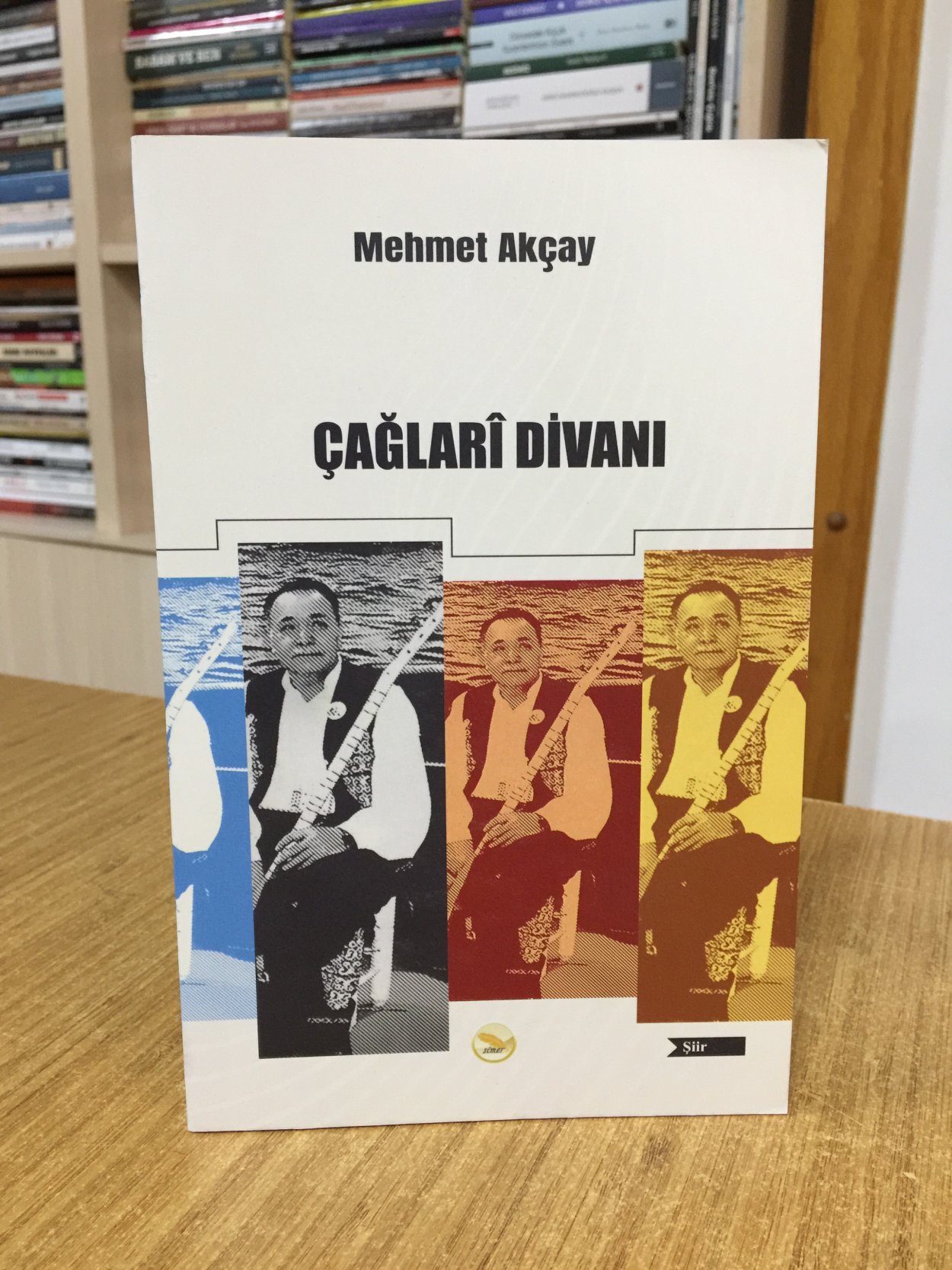 Çağlarî Divanı - Mehmet Akçay