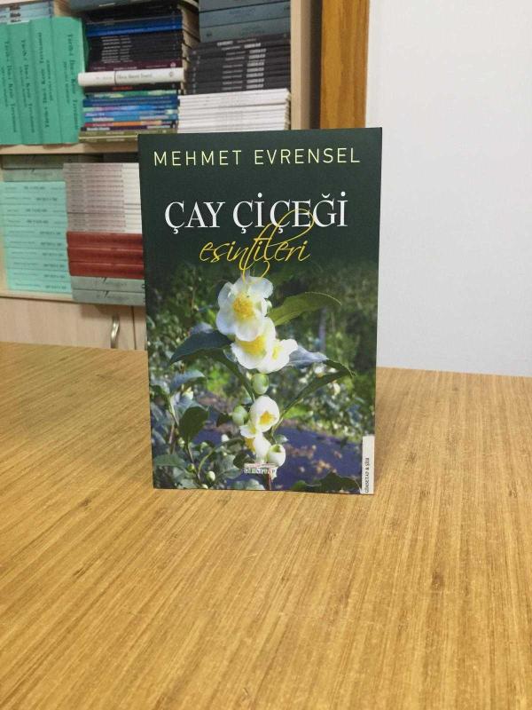 Çay Çiçeği Esintileri - Mehmet Evrensel