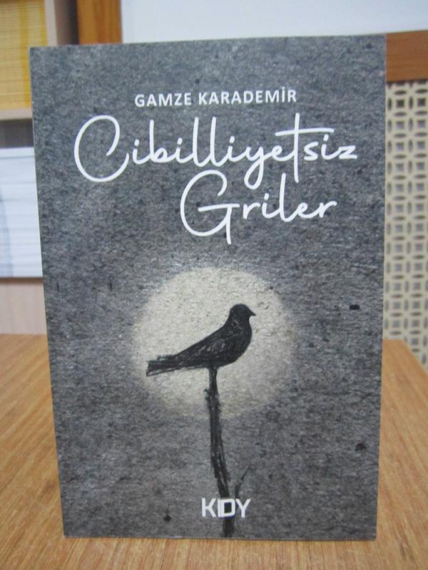 Cibilliyetsiz Griler - Gamze Karademir