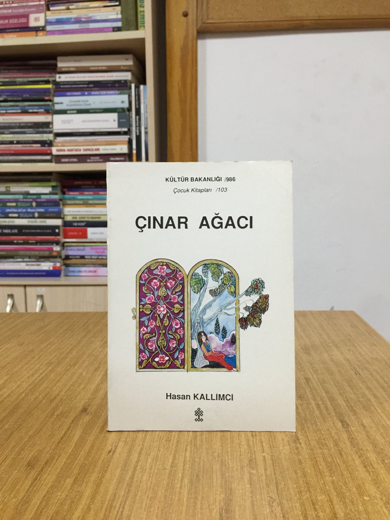 Çınar Ağacı - Hasan Kallimci
