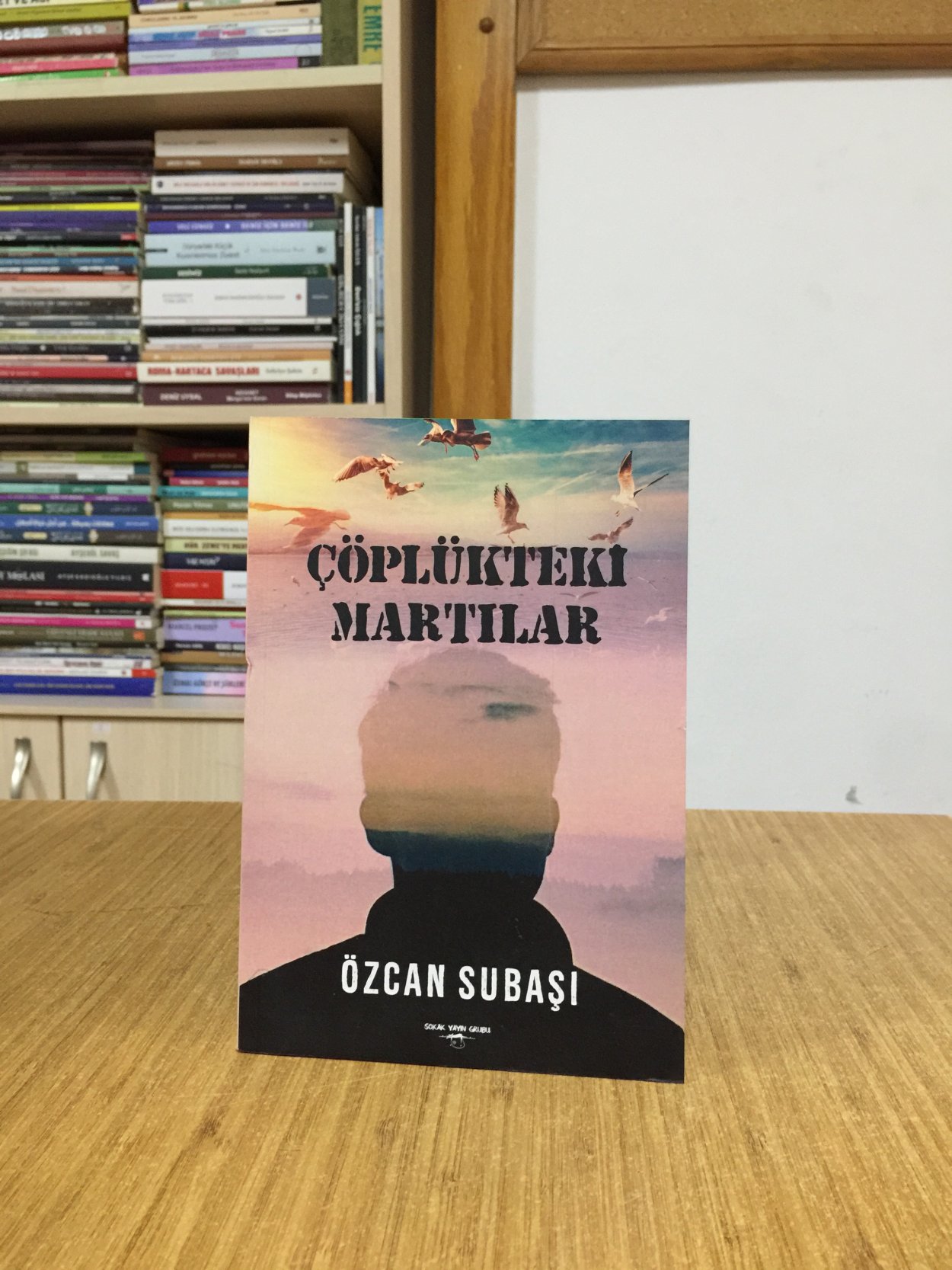 Çöplükteki Martılar - Özcan Subaşı