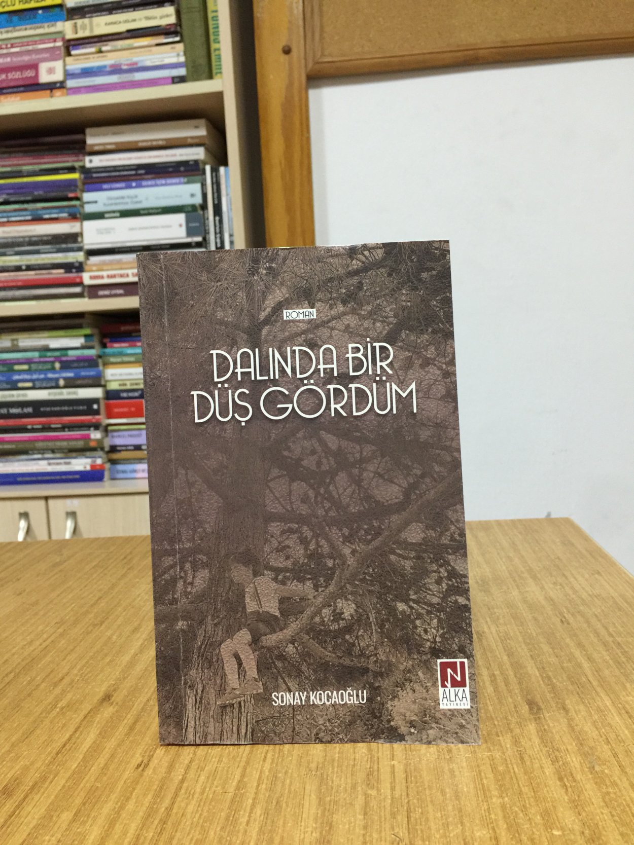 Dalında Bir Düş Gördüm - Sonay Kocaoğlu