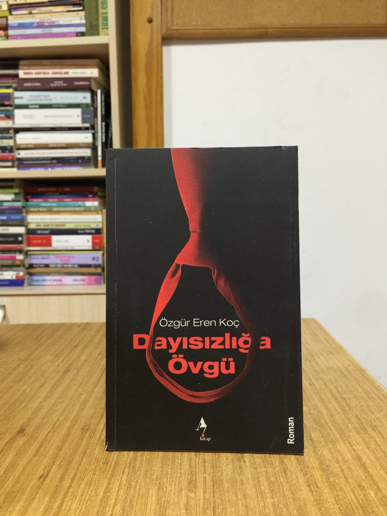 Dayısızlığa Övgü - Özgür Eren Koç