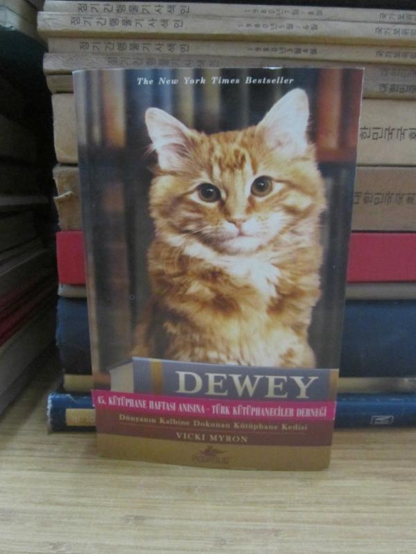 Dewey - Vicki Myron