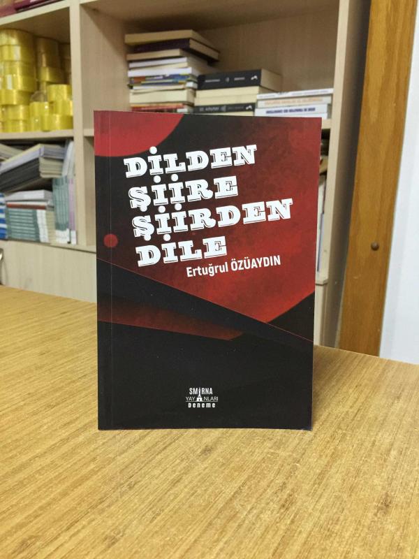 Dilden Şiire Şiirden Dile - Ertuğrul Özüaydın