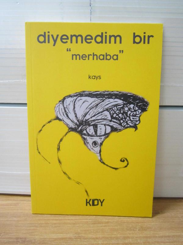 Diyemedim Bir Merhaba