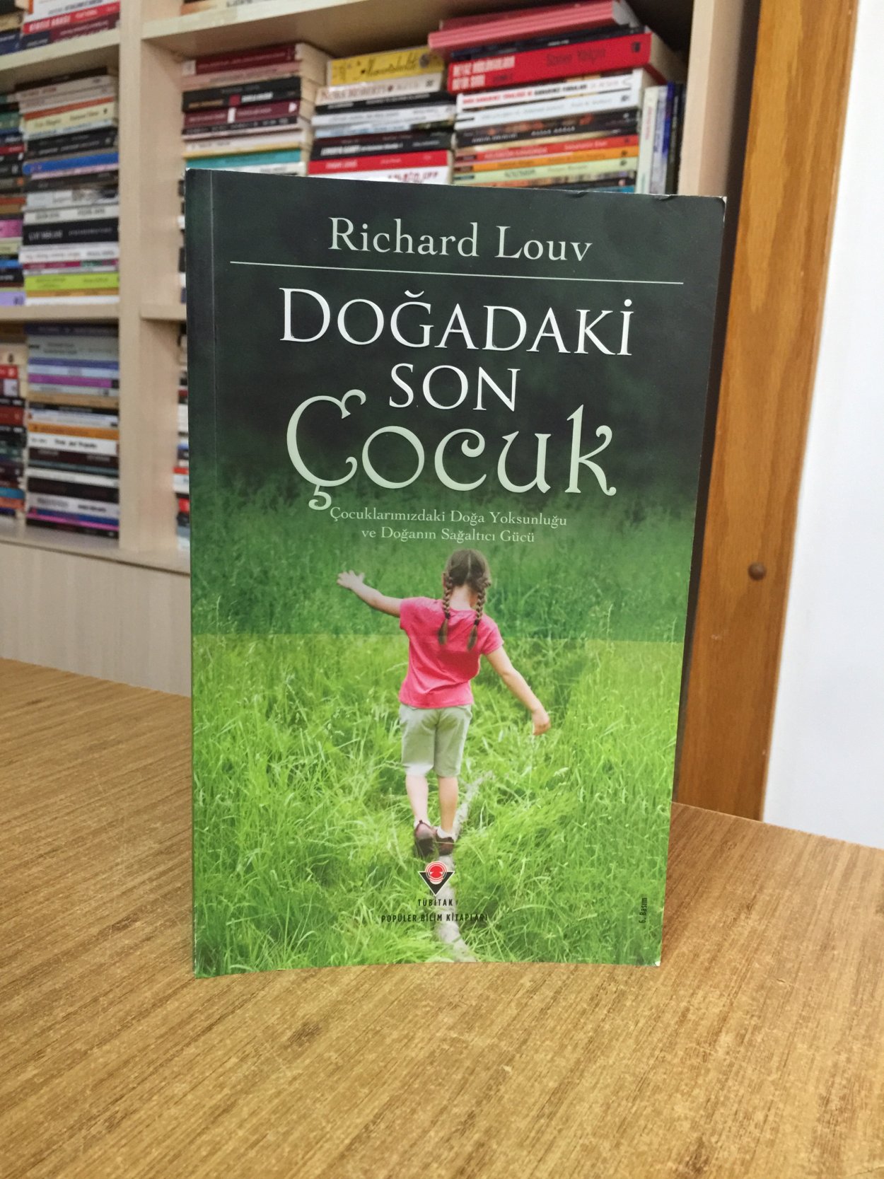 Doğadaki Son Çocuk - Richard Louv