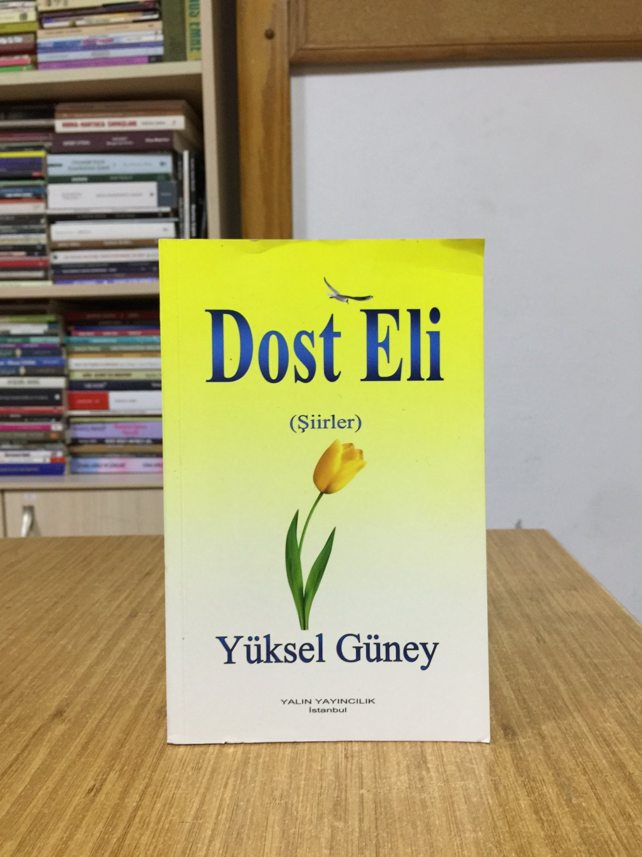 Dost Eli - Yüksel Güney