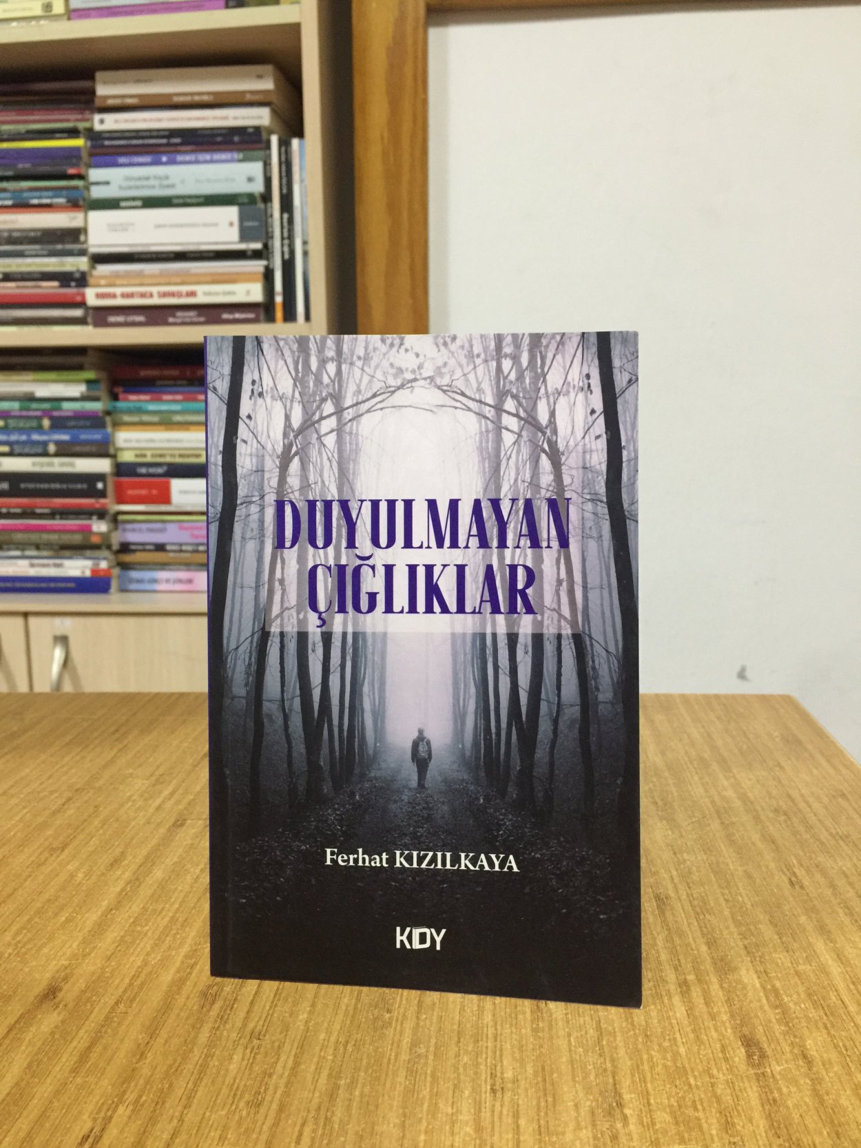 Duyulmayan Çığlıklar - Ferhat Kızılkaya