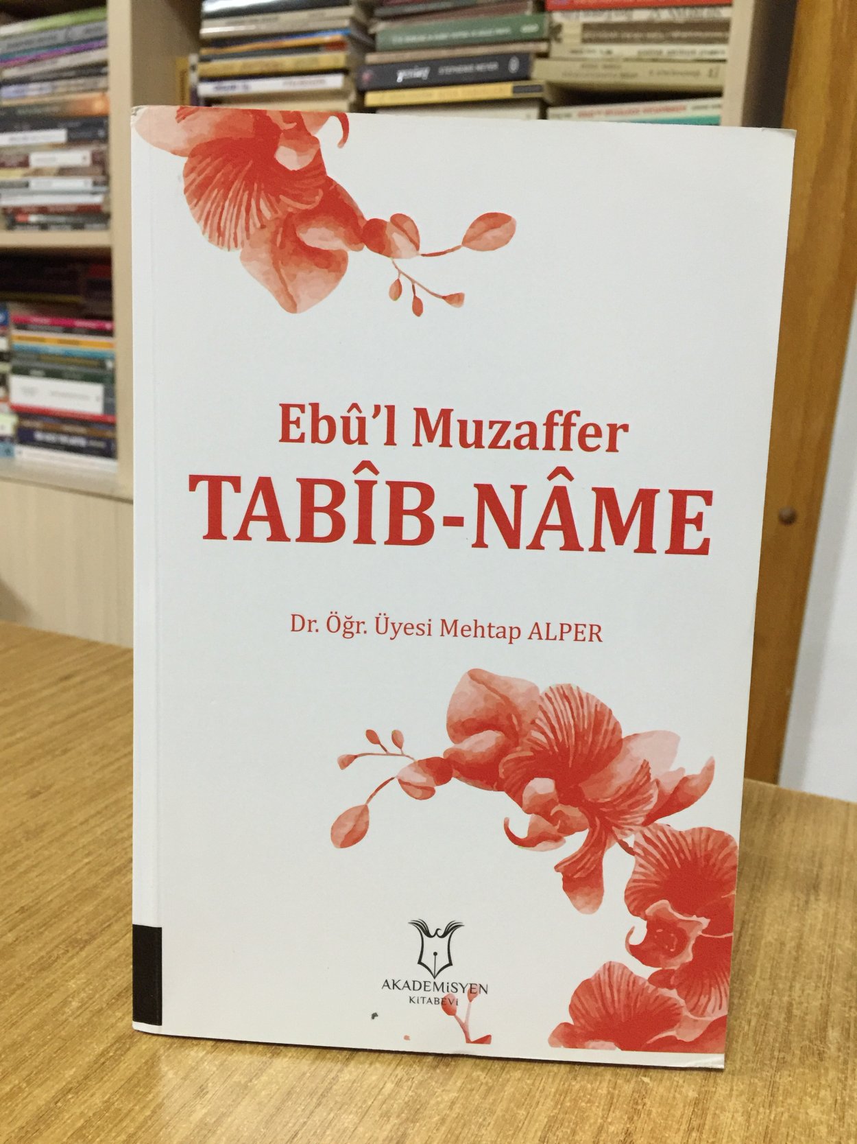 Ebu'l Muzaffer Tabib Name (Giriş - İnceleme - Metin - Dizin)