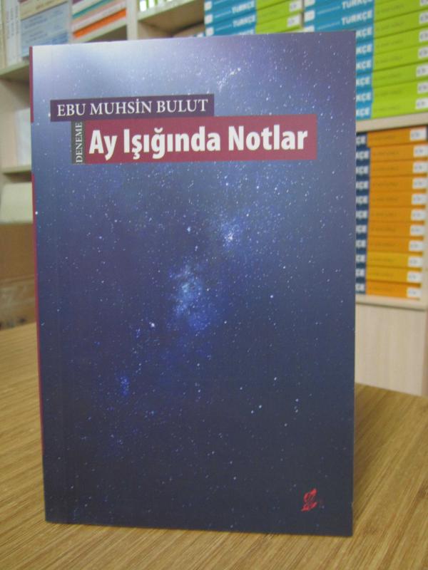 Ebu Muhsin Bulut - Ay Işığında Notlar