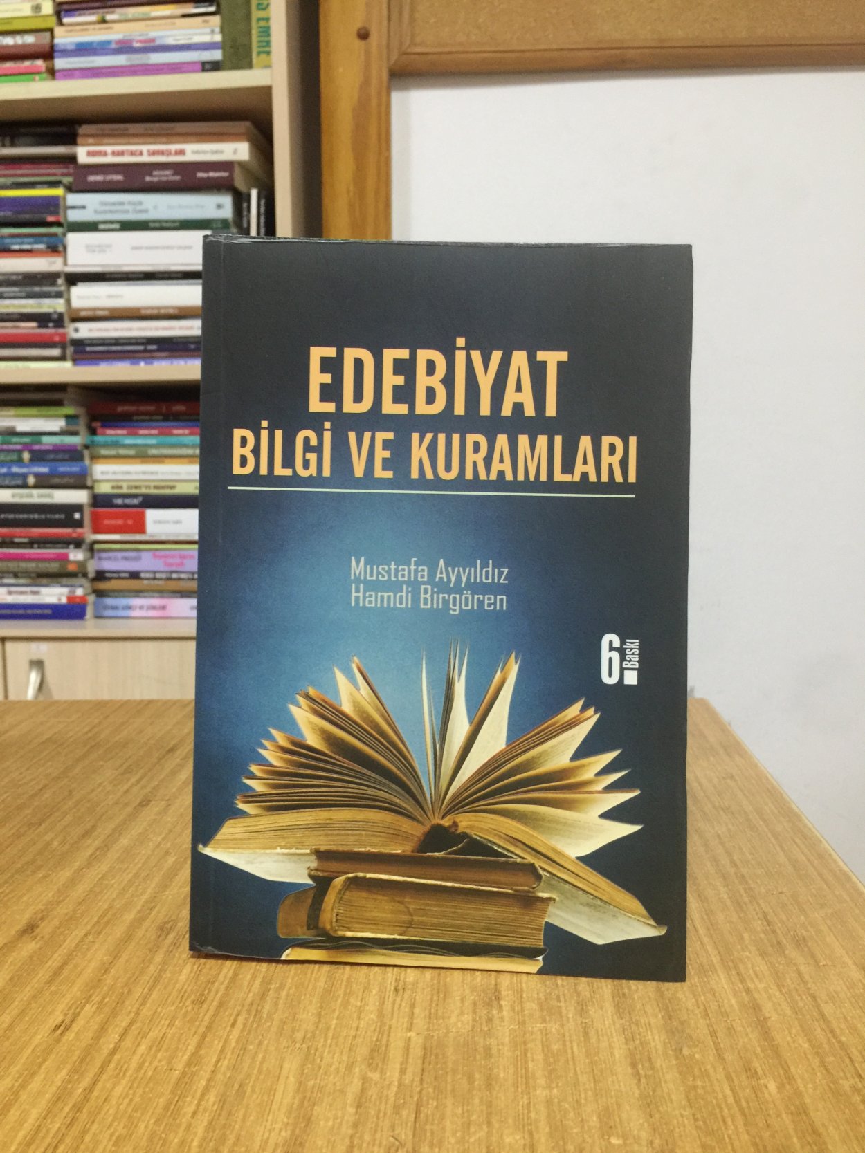 Edebiyat Bilgi ve Kuramları - Mustafa Ayyıldız & Hamdi Birgören [Akçağ Yayınları - 6.Baskı]
