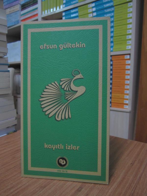 Efsul Gültekin - Kayıtlı İzler