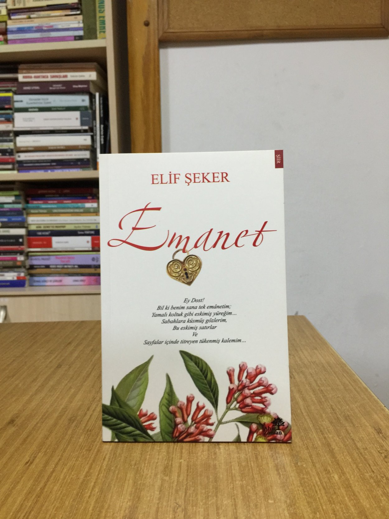 Emanet - Elif Şeker