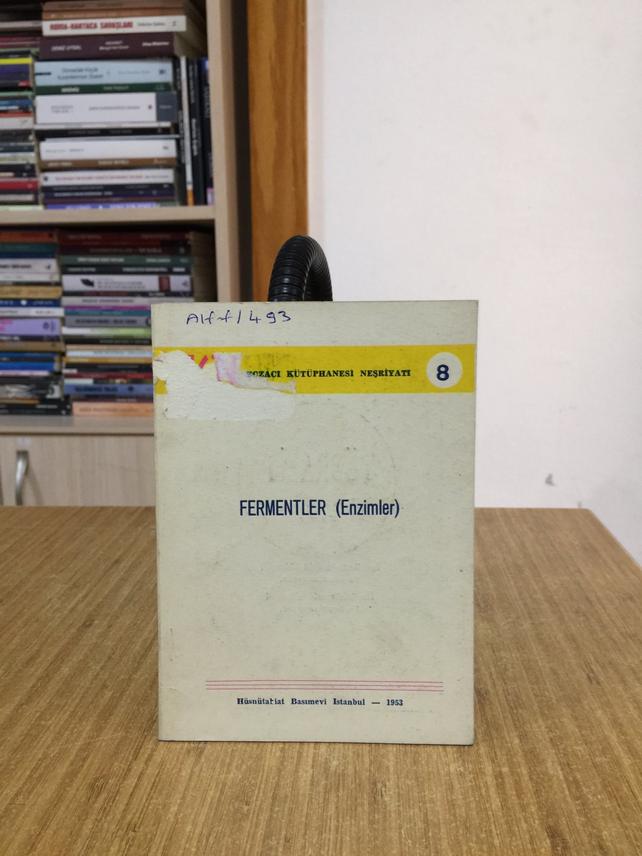 Fermentler(Enzimler)