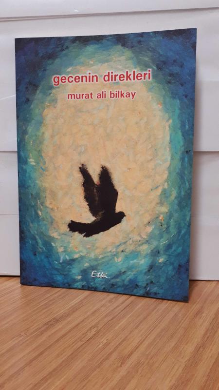 Gecenin Direkleri