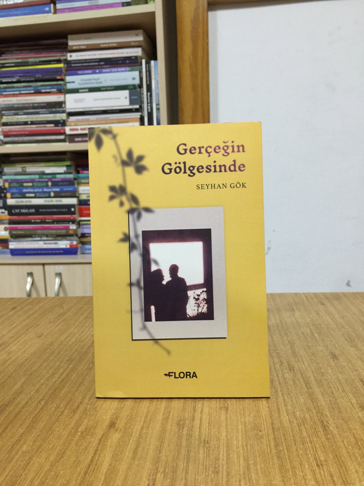 Gerçeğin Gölgesinde - Seyhan Gök