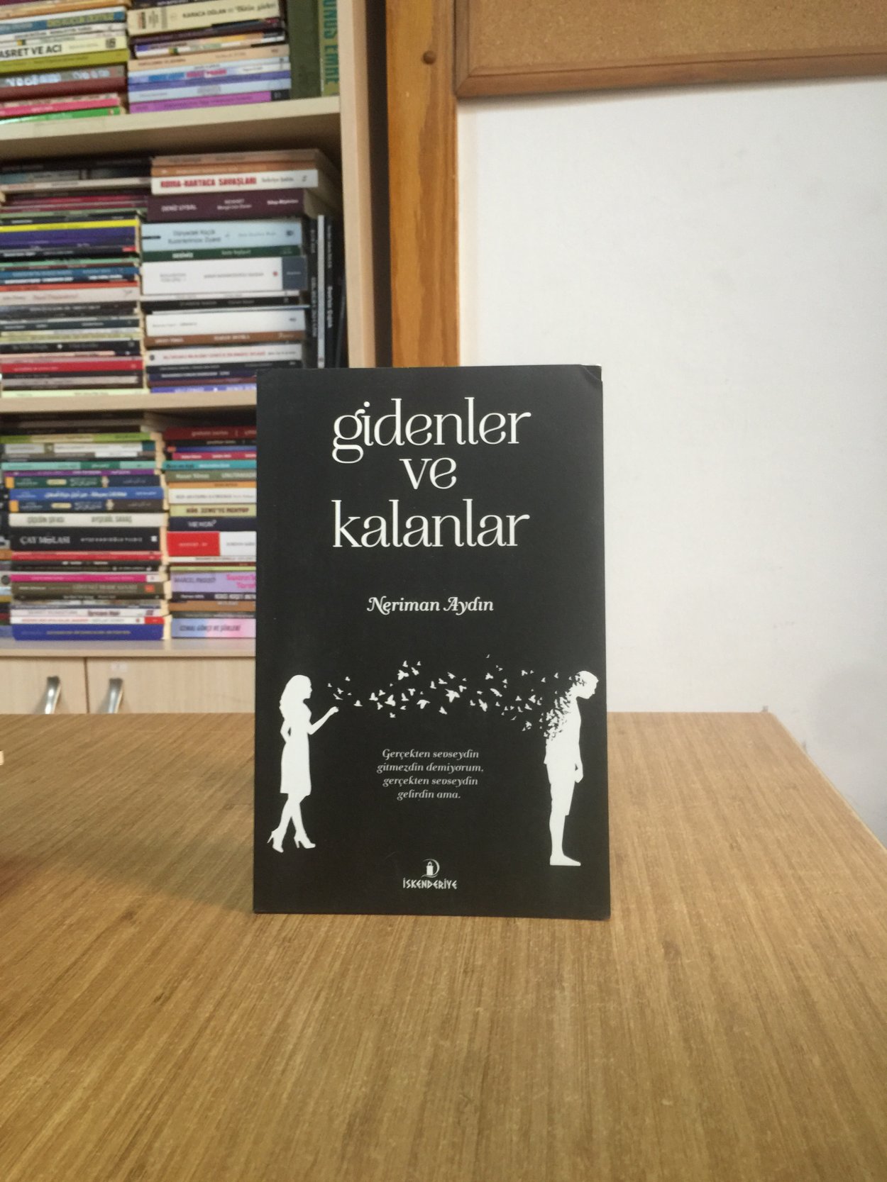 Gidenler ve Kalanlar - Neriman Aydın