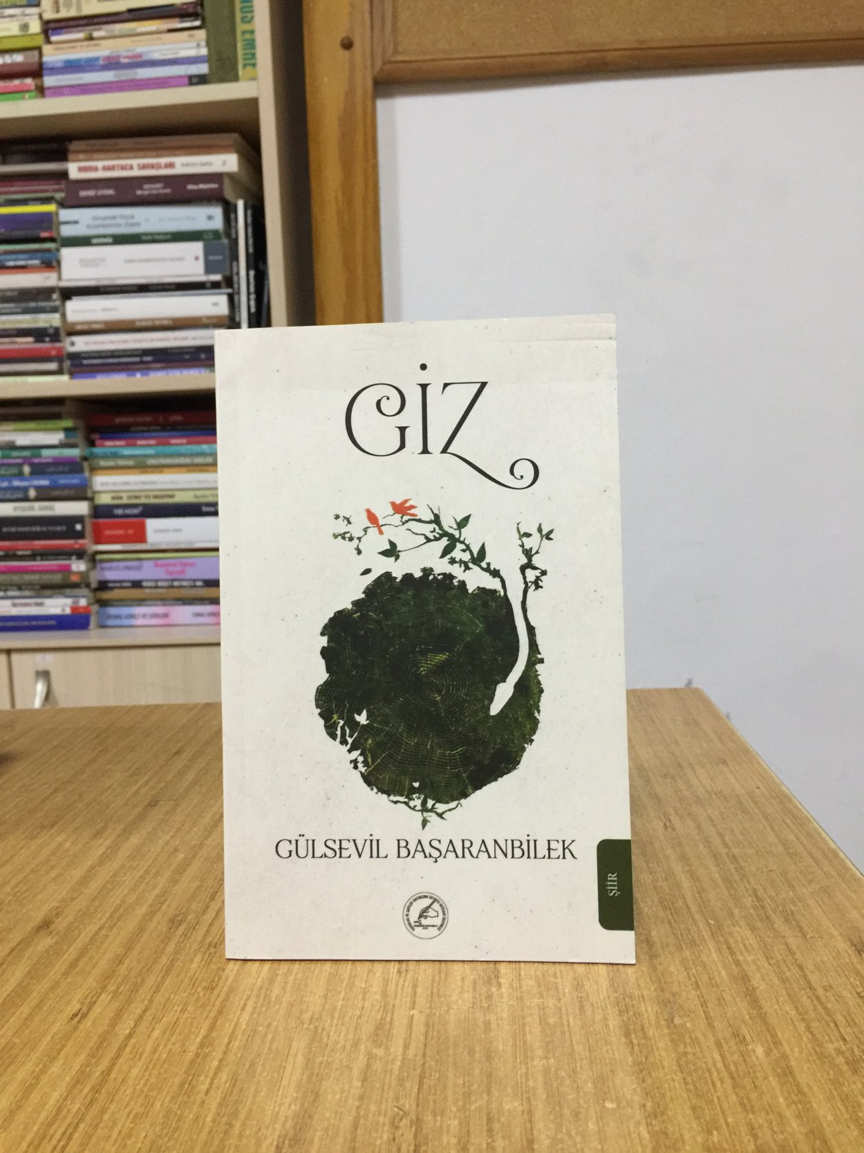Giz - Gülsevil Başaranbilek