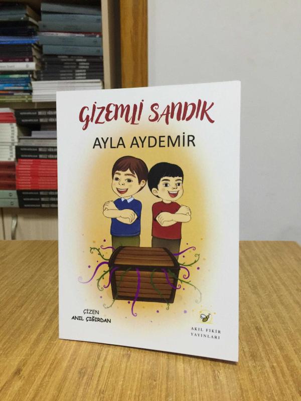Gizemli Sandık - Ayla Aydemir
